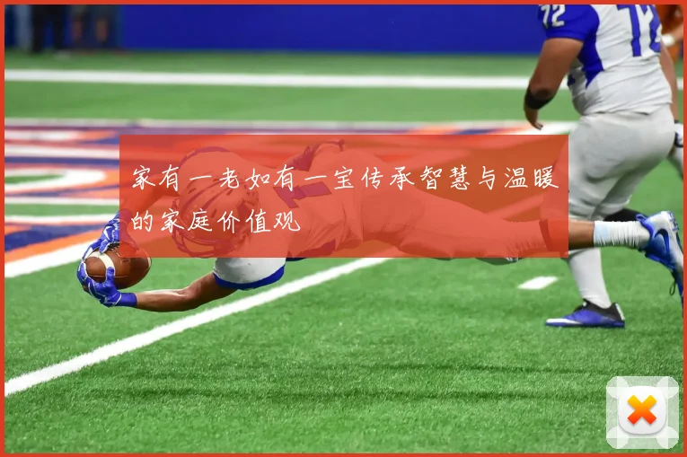 家有一老如有一宝传承智慧与温暖的家庭价值观